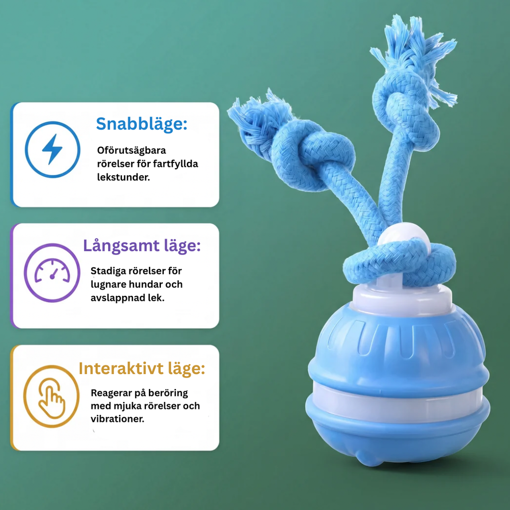 Jaktkompisen